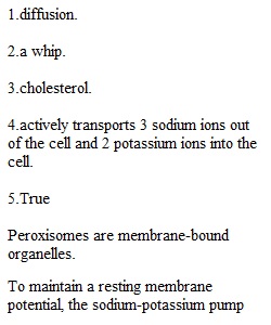 Quiz 3